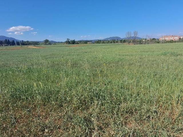 Terreno en alquiler en Sabadell, Centre