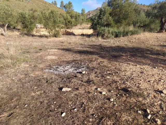 Terreno en alquiler en Liétor, Castilla-La Mancha