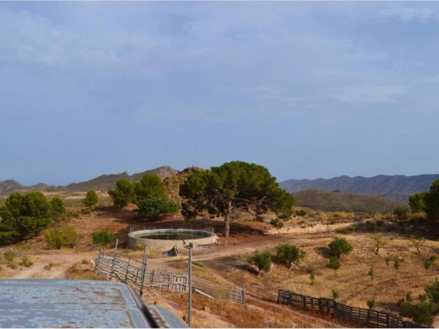 Terreno en alquiler en Alto Guadalentín, Murcia