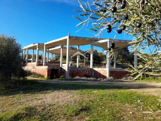 Terreno en alquiler en Lucena, Andalucía