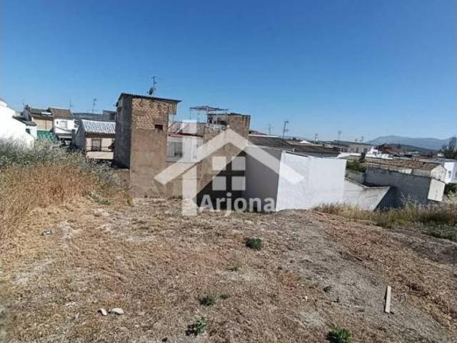 Terreno en alquiler en Lucena, Andalucía