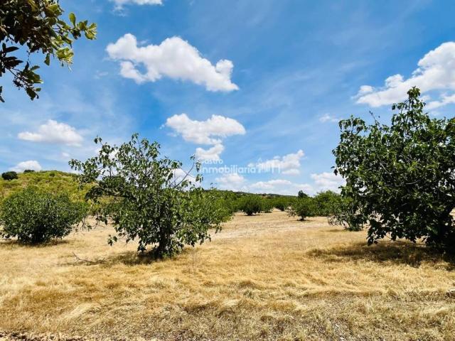 Terreno en venta en Lucillos, Castilla-La Mancha