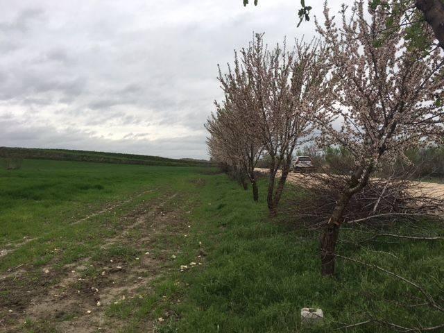 Terreno en alquiler en Madrid