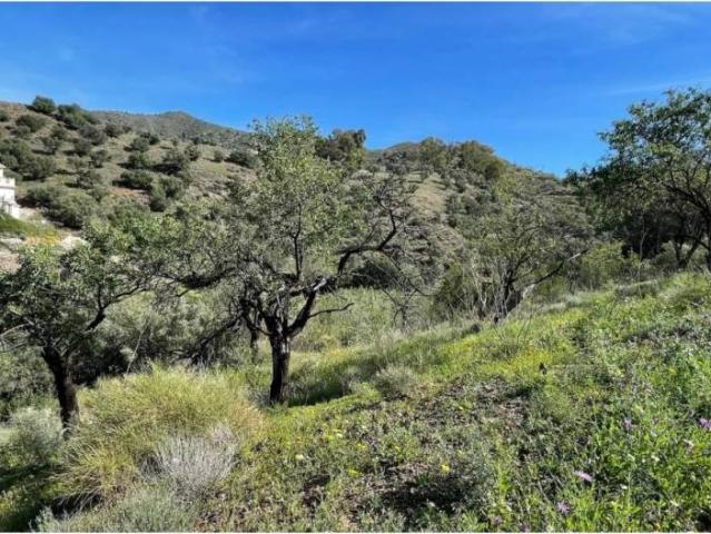 Terreno en alquiler en Málaga-Costa del Sol, Andalucía