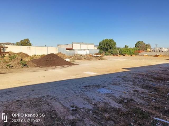 Terreno en venta en Costa del Sol Occidental, Andalucía