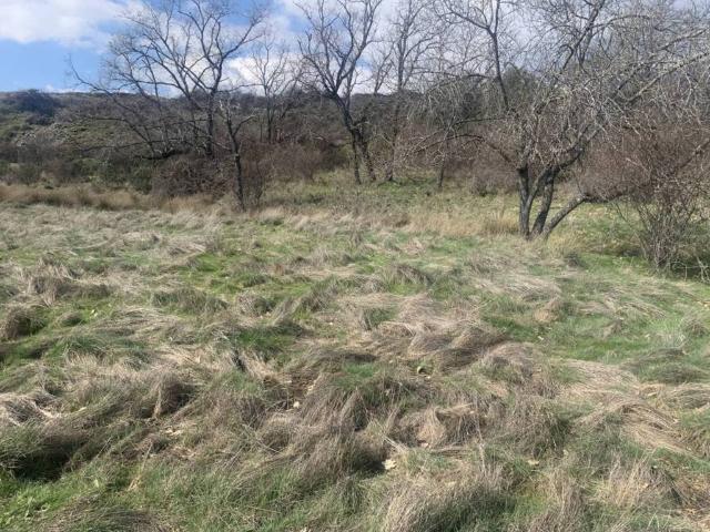 Terreno en venta en Miraflores De La Sierra, Madrid