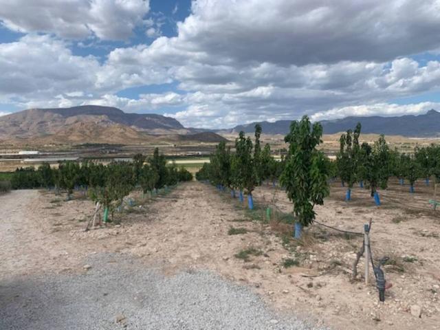 Terreno en alquiler en el Vinalopó Mitjà / El Vinalopó Medio, Valencia