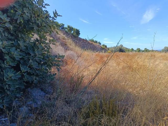 Terreno en alquiler en Comarca de la Costa Granadina, Andalucía