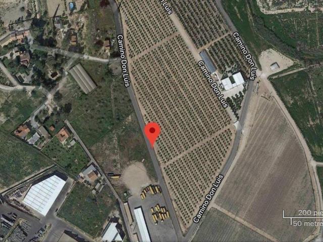 Terreno en alquiler en Murcia Terreno en alquiler en Murcia