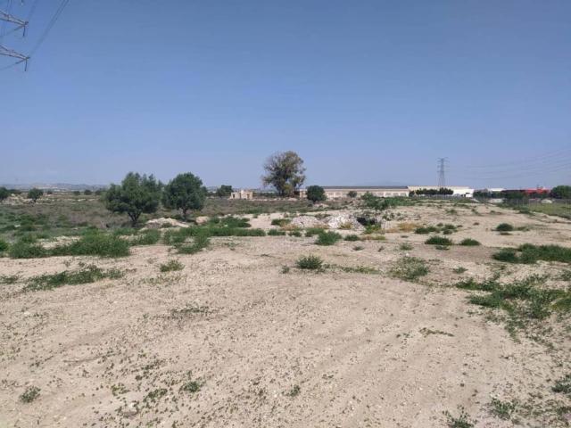 Terreno en alquiler en Área Metropolitana de Murcia, Murcia