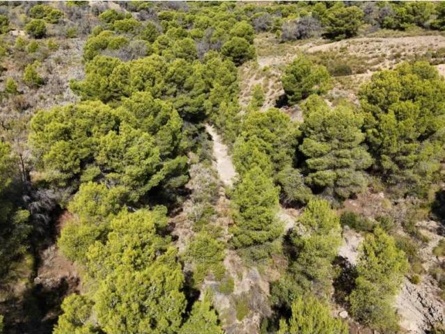 Terreno en alquiler en Área Metropolitana de Murcia, Murcia