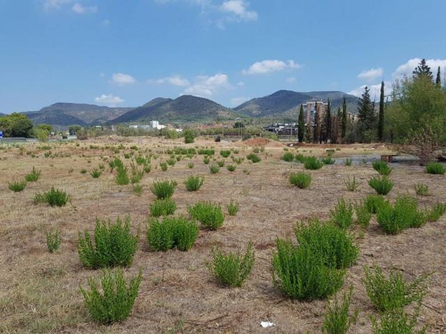 Terreno en alquiler en Olesa De Montserrat
