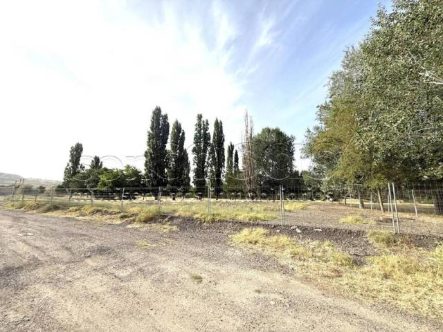 Terreno en alquiler en Paracuellos De Jarama, Madrid
