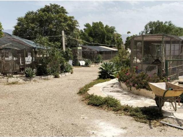 Terreno en venta en Pechina, Almería
