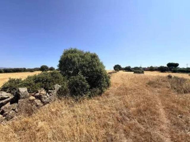 Terreno en alquiler en Pedrezuela, Madrid