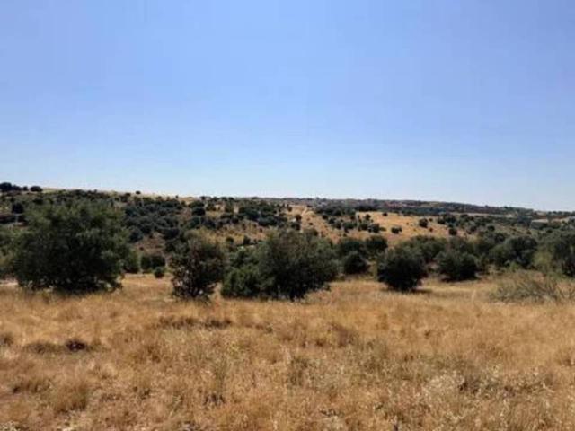Terreno en alquiler en Pedrezuela, Madrid