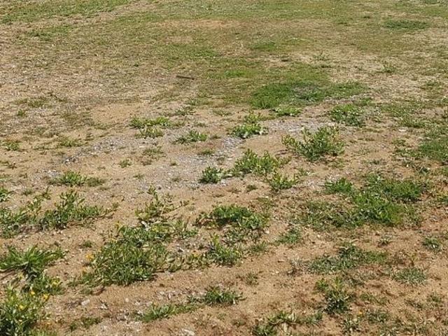 Terreno en alquiler en Polinyà