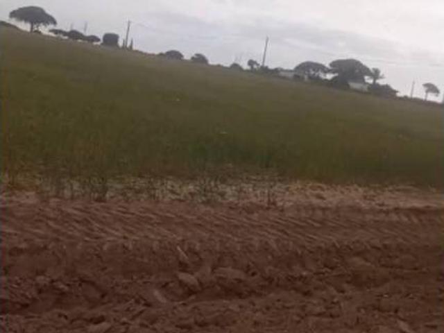 Terreno en alquiler en Bahía de Cádiz, Andalucía