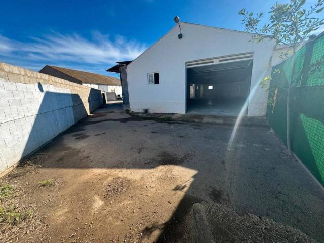 Terreno en alquiler en Loma de Abajo, Campo de Cartagena y Mar Menor