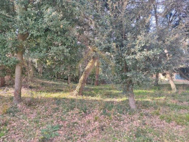 Terreno en alquiler en Vallès Oriental, Catalunya