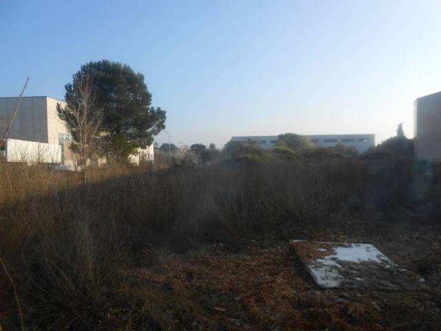 Terreno en alquiler en Sant Quirze Del Vallès