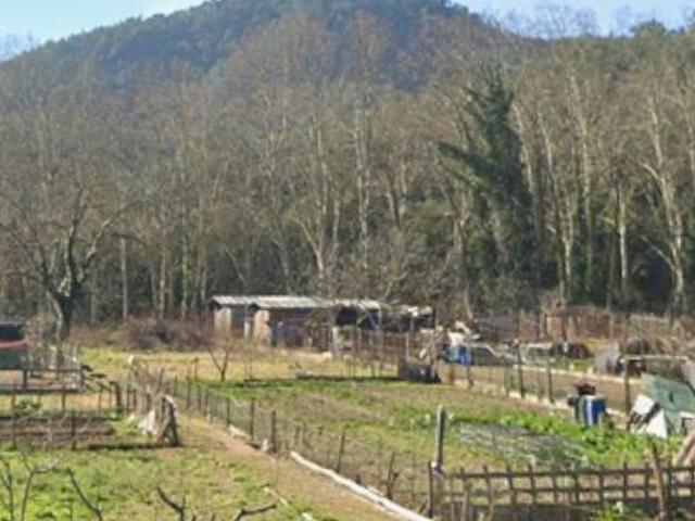 Terreno en alquiler en la Selva, Catalunya