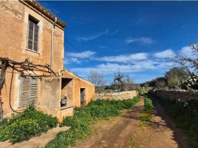 Terreno en alquiler en Migjorn, Baleares
