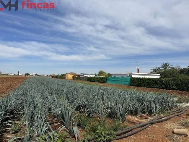 Terreno en alquiler en Sevilla, Urbanización las Ratas