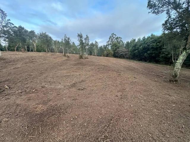 Terreno en alquiler en Reis, Santiago
