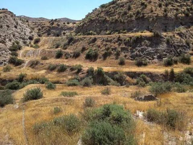 Terreno en alquiler en Terque, Andalucía