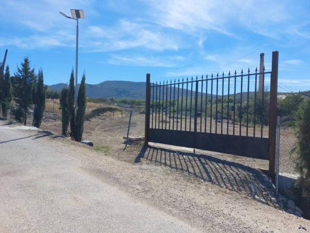 Terreno en alquiler en Torredonjimeno