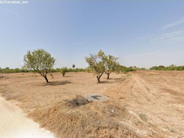 Local Comercial en alquiler en Elche, Jubalcoi