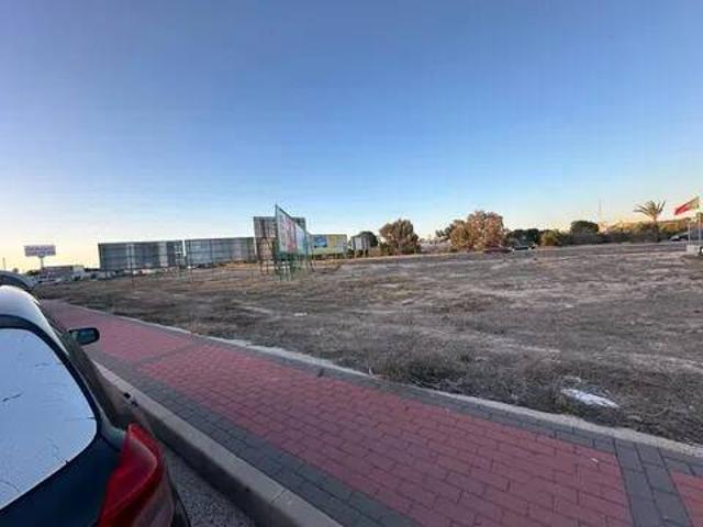 Terreno en alquiler en el Baix Segura / La Vega Baja, Valencia