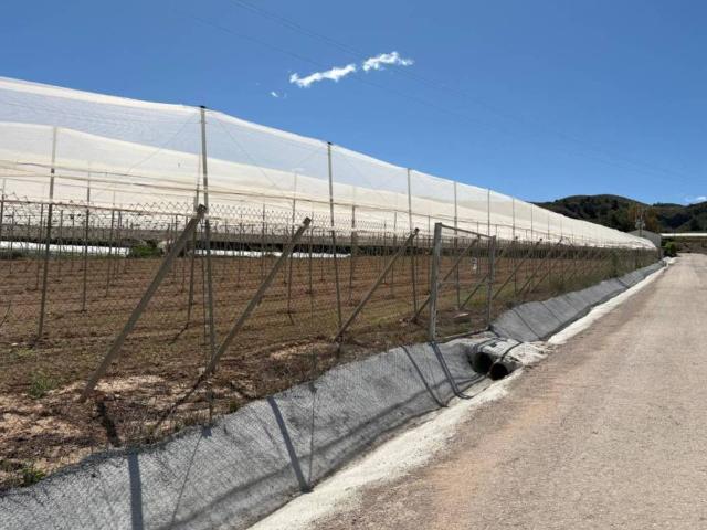 Terreno en alquiler en Bajo Guadalentín, Murcia