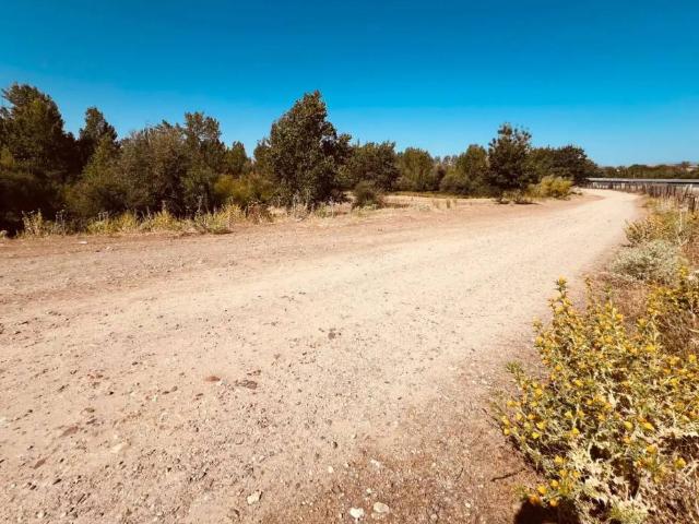 Terreno en alquiler en Valdetorres De Jarama, Madrid