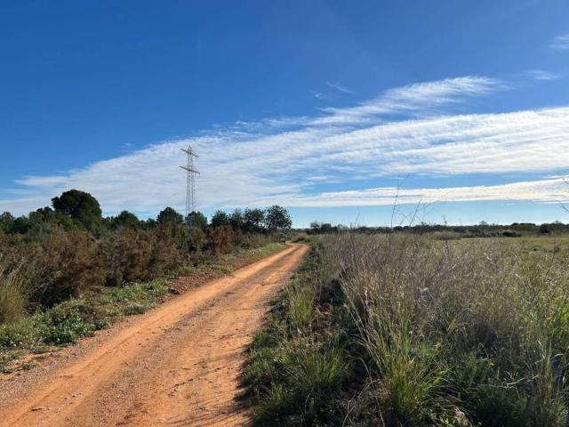 Terreno en alquiler en Valencia, Jesús