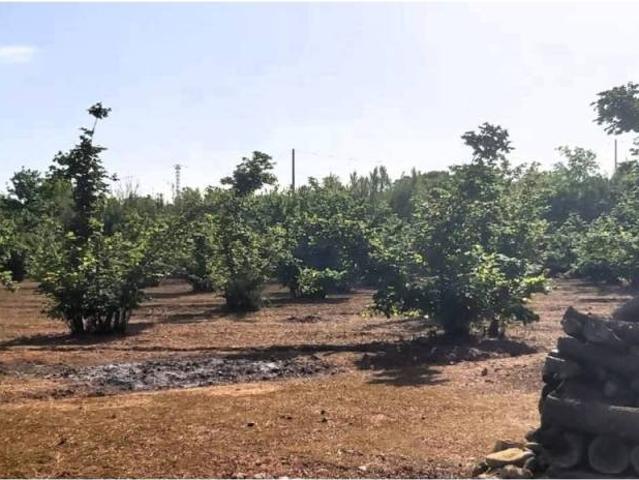 Terreno en alquiler en Alt Camp, Catalunya