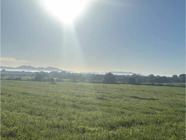Terreno en alquiler en Pla de Mallorca, Baleares