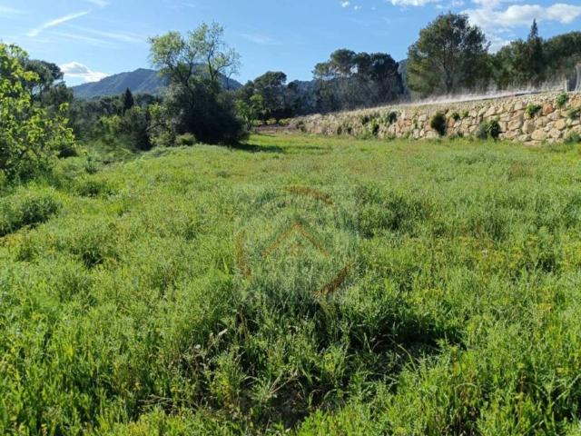 Terreno en alquiler en la Costera, Valencia
