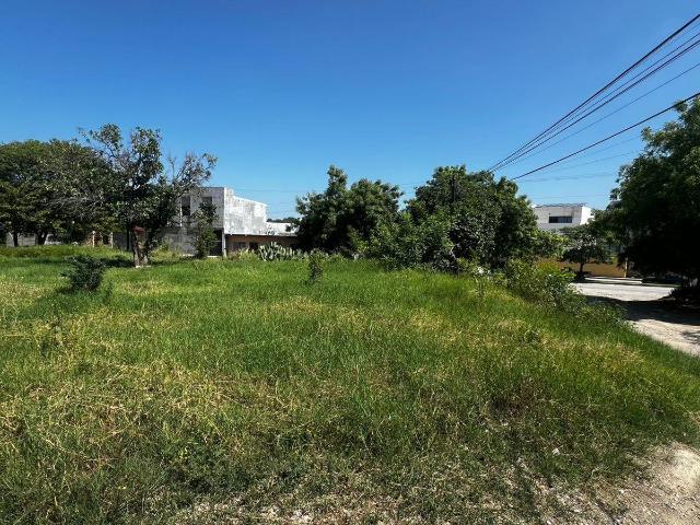 Terreno en renta en Ciudad Valles, San Luis Potosí