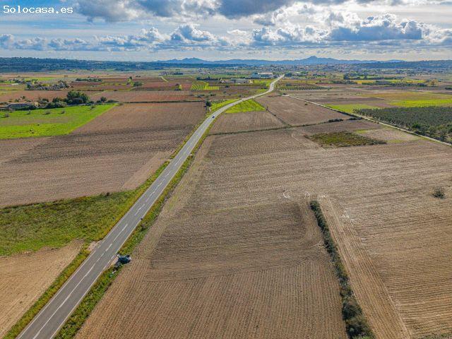Local Comercial en venta en Pla de Mallorca, Baleares