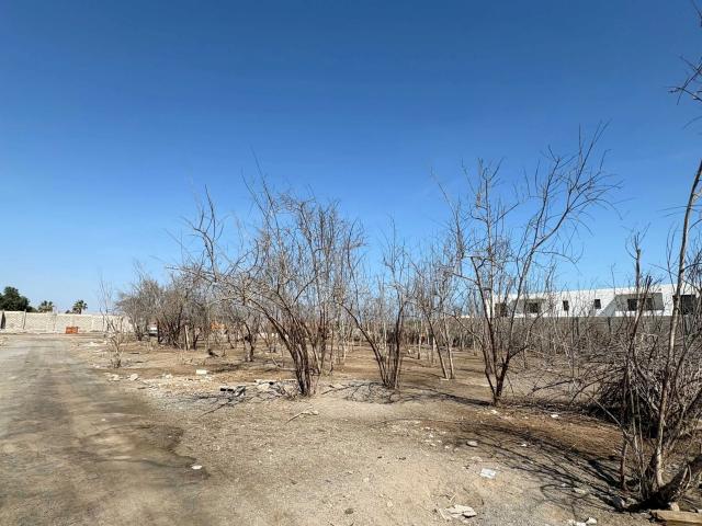 Terreno en venta en Arica, Arica y Parinacota