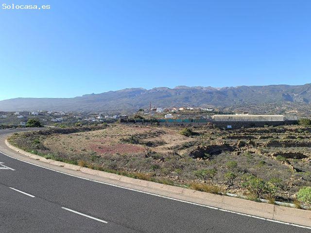 Local Comercial en venta en Arico, Canarias