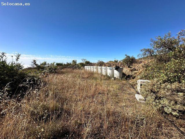 Local Comercial en venta en Arico, Canarias