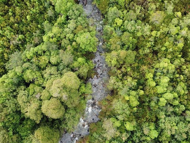 Terreno en venta en Coyhaique, Capital, Aysén Del General Carlos Ibáñez Del Campo