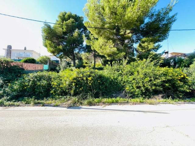 Terreno en venta en el Puig, Baix Penedès