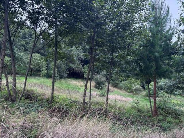Terreno en venta en Zacapoaxtla, Puebla
