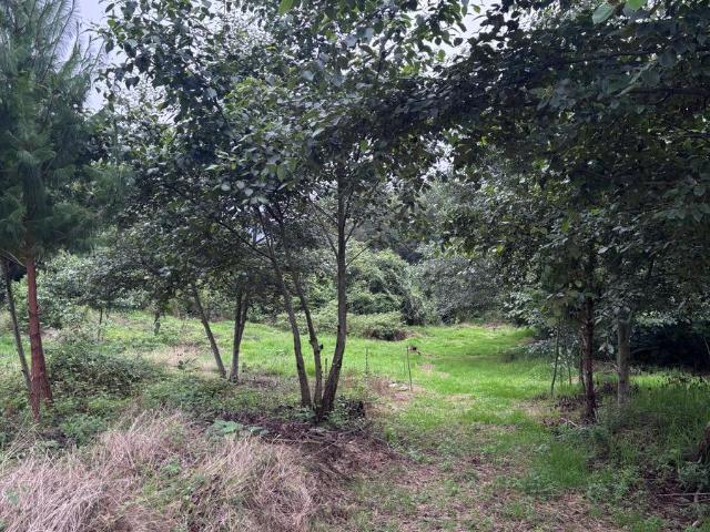 Terreno en venta en Zacapoaxtla, Puebla