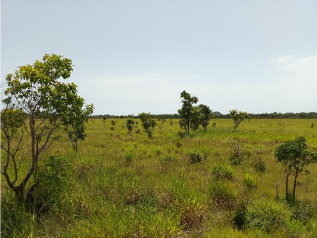Terreno en venta en Maturin, Monagas