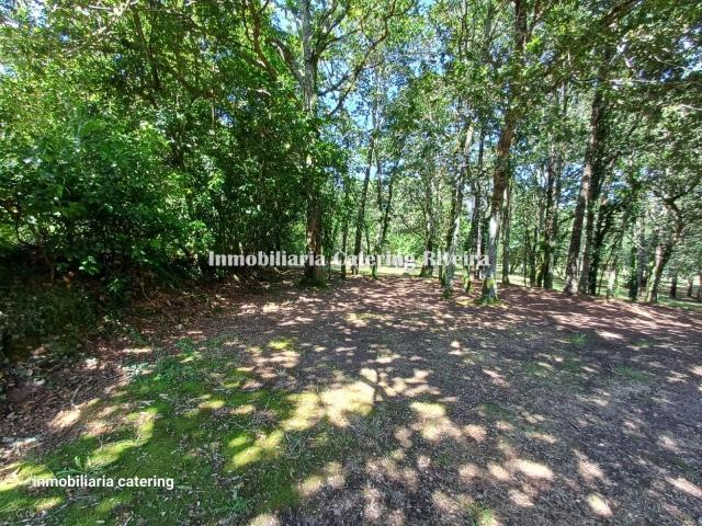 Casa Rural en venta en Ribeira, As Sarreiras